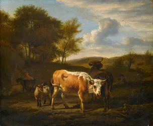 Bergachtig landschap met koeien
