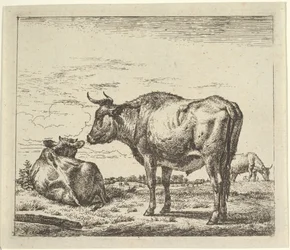 Staande stier, uit Verschillende dieren