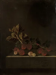 Een Takje Kruisbessen op een Stenen Sokkel, 1699