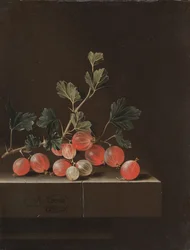Kruisbessen op een tafel