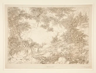 Landschap