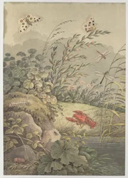 Stuk water met krab, vlinders, libellen en duindoorn, c. 1800