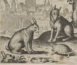 Fabel van de schildpad en de haas