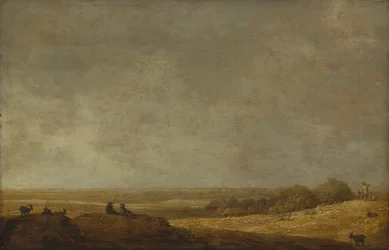 Vlak landschap