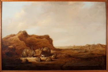Landschap met konijnen