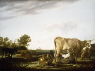 Koeien melken