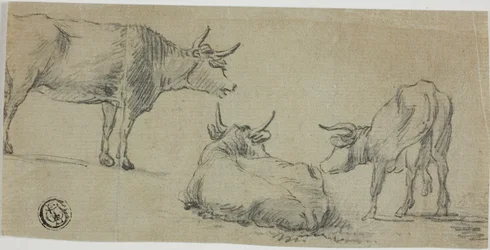 Drie schetsen van koeien