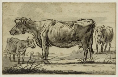 Drie koeien in de wei (Lugt 16)