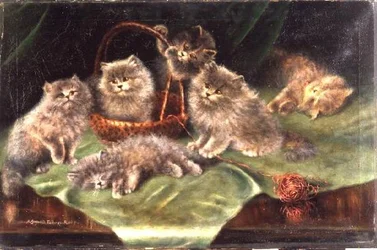 Zes Kittens