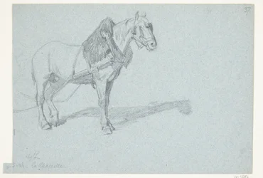 Een paard