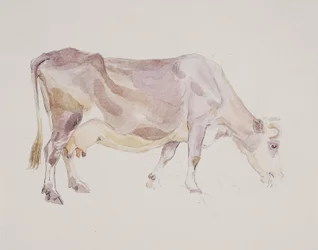 Staande koe
