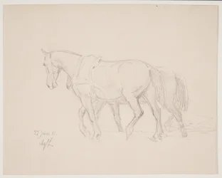 Te paard