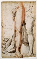 Studies van een linkerbeen van een man, een linkerhand en een mannenhoofd in profiel