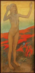 Aanbidder