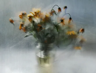 Dromerige, verwelkende bloemen