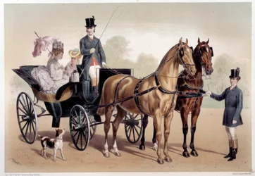 Een paardenkoets met Anglo-Normandische paarden. Prent door Albert Adam (1833-?) 19e eeuw Parijs, Musée Carnavalet