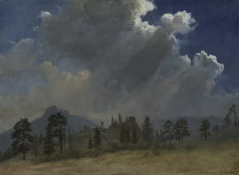 Dennenbomen en stormwolken