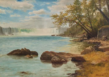 Niagara Falls met Terrapin Tower, c.1869