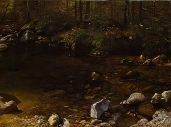 Schaduwrijk zwembad, Witte Bergen, New Hampshire