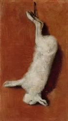 Dode haas, studie