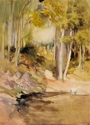 In het bos