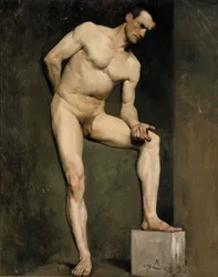 Mannelijk model, academische studie