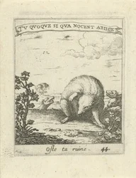 Das ontsnapt aan wolven