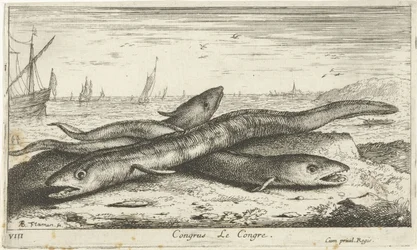 Drie zeepalingen op het strand