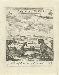Landschap met honden