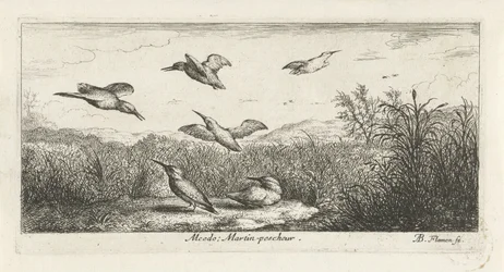 Landschap met ijsvogels