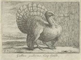 Landschap met kalkoen