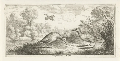 Landschap met twee rallen op een oever