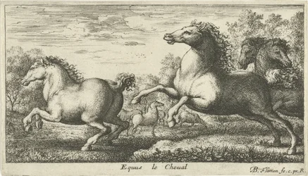 Paarden