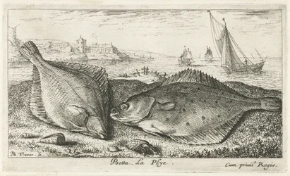 Twee platvissen op het strand
