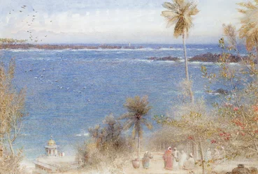 Ceylons eiland, 1905