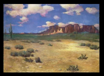 Arizona Landschap