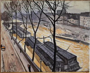 Parijs in de winter (Quai de Bourbon)