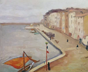 De Haven van Saint-Tropez