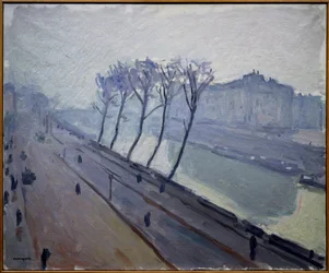Uitzicht op de kades van de Seine in Parijs