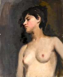Vrouwelijk halfnaakt. Zwarte achtergrond. Circa 1880