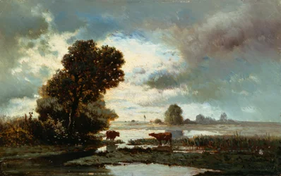 Weiland bij de rivier
