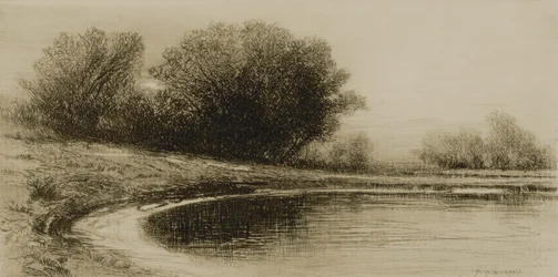 Vijver en bomen