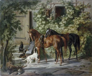 Paarden op de veranda