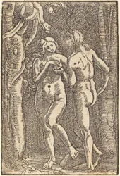 De val van de mens