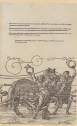 Acrimonia, plaat 6 uit de serie «De grote triomfwagen»