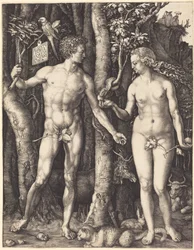 Adam en Eva