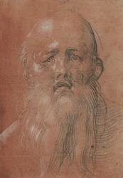 Hoofd van een man met baard