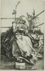 Madonna op een grasrijke oever