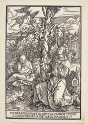 St. Franciscus ontvangt de stigmata
