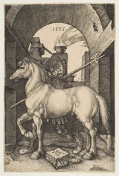 Het kleine paard
